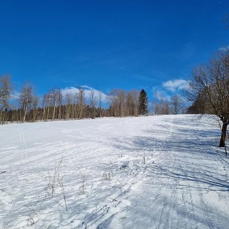 Apartman Utulno: Relax, Sauna A Vyberova Kava Horní Maršov Exterior foto